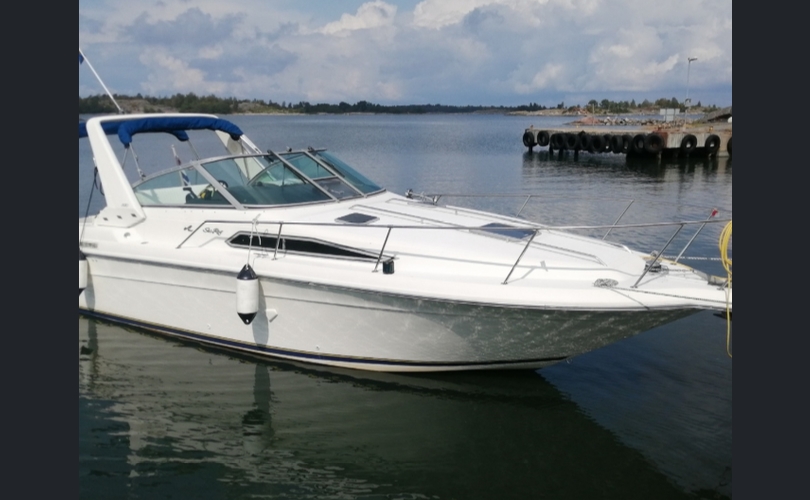 Sea Ray Sundancer 290-kuva-1